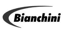 Bianchini